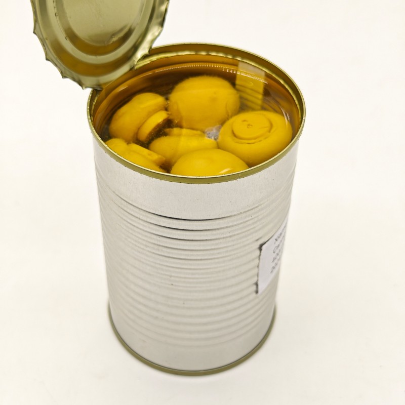 Wholesale Healthy Salt Steamed Flavor Canned Vegetables Whole Canned Mushrooms High Level Organic Standard Manufacturer