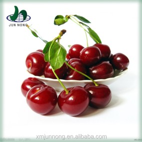 New Arrival Organic Fresh Canned Red Cherry