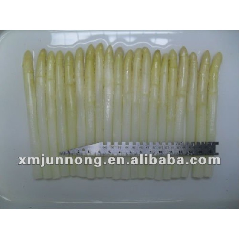 High Quality Fresh Canned Asparagus Deliciously Preserved in Salt Brine Water for Quality Pickling Whole Corn Style