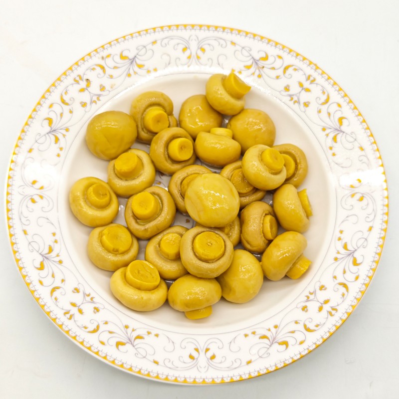 Wholesale Healthy Salt Steamed Flavor Canned Vegetables Whole Canned Mushrooms High Level Organic Standard Manufacturer
