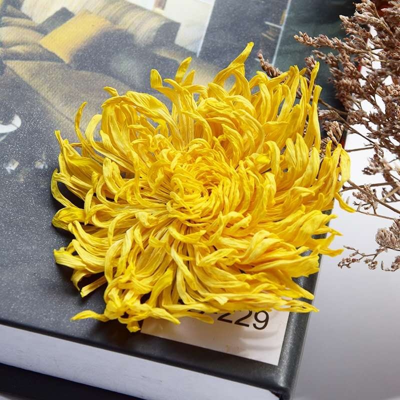 Wholesale High Quality Golden Silk Chrysanthemum Dried Flowers Blooming Tea Directly From Origin