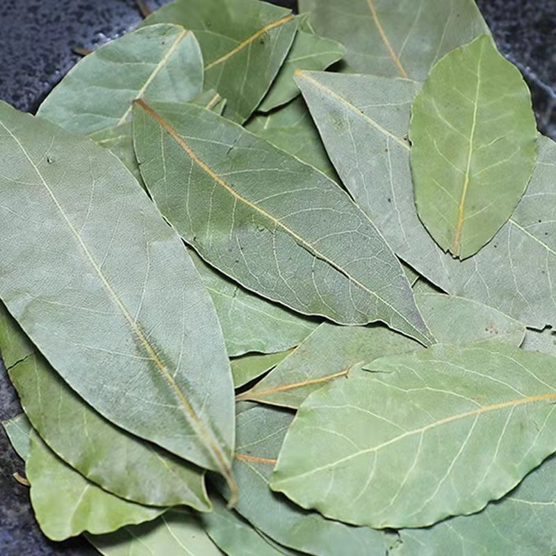 HUARAN Wholesale Single Spices and Herbs High Quality Dry New Crop Low Price Myrcia Natural  Bay Leaf Bay Leaves