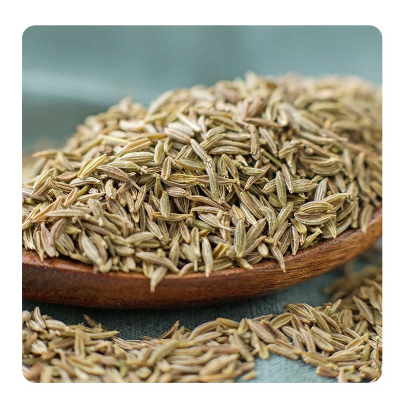 Hot Selling Supplier Wholesale High Grade 100% Natural Export Price Dried Cumin Seeds