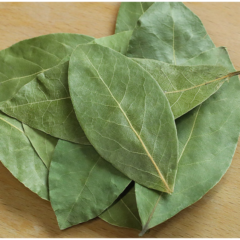 Huaran Yulin Guangxi China Imported Greenish Laurel Leaves Dried Bay Leaf for Cooking Food
