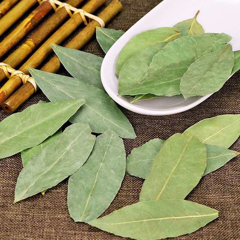 Huaran Yulin Guangxi China Imported Greenish Laurel Leaves Dried Bay Leaf for Cooking Food