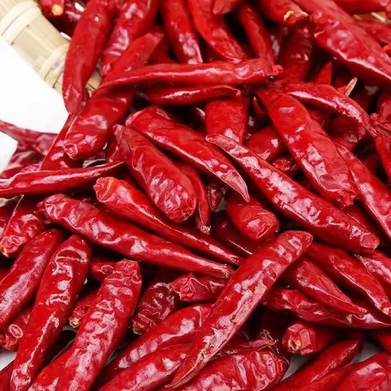 Factory Wholesale Customized High Quality Sichuan Dry Hot Red Chilli Pepper