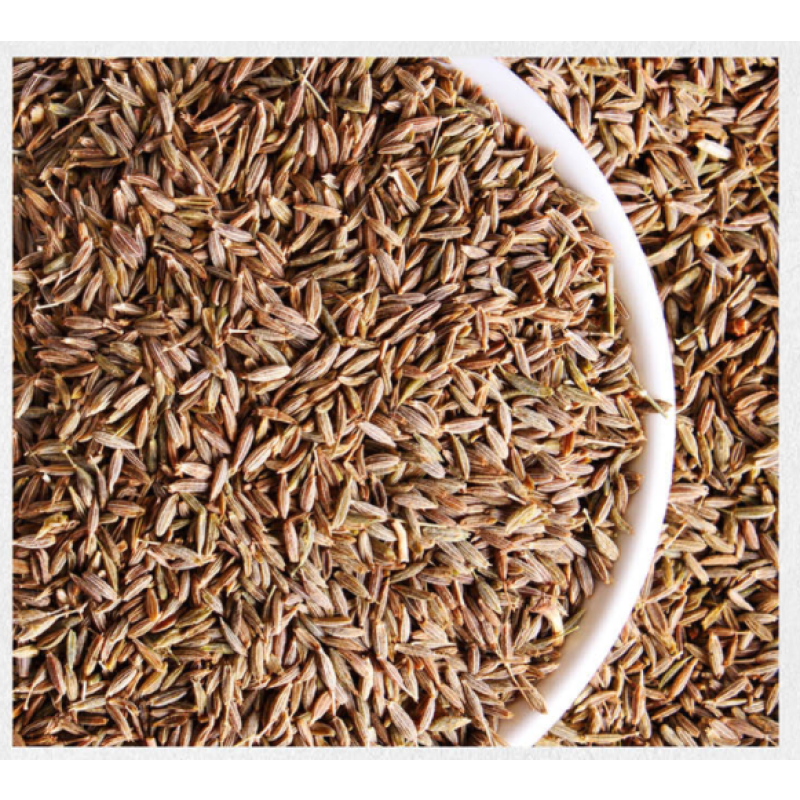 Factory Wholesale Customized Indian Cumin Seed Natural Spice Dried Cumin