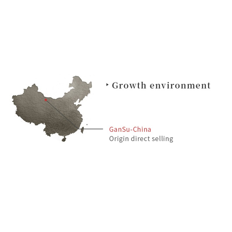 Wholesale Spices Natural Pure  Dried Seasoning Coriander Seeds