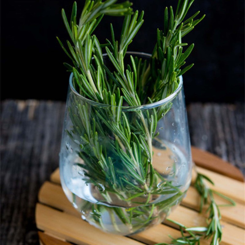 Wholesale Spices Rosemary  Leaves for Cooking  Bulk Herbs Seasoning  High Quality  Dried Rosemary