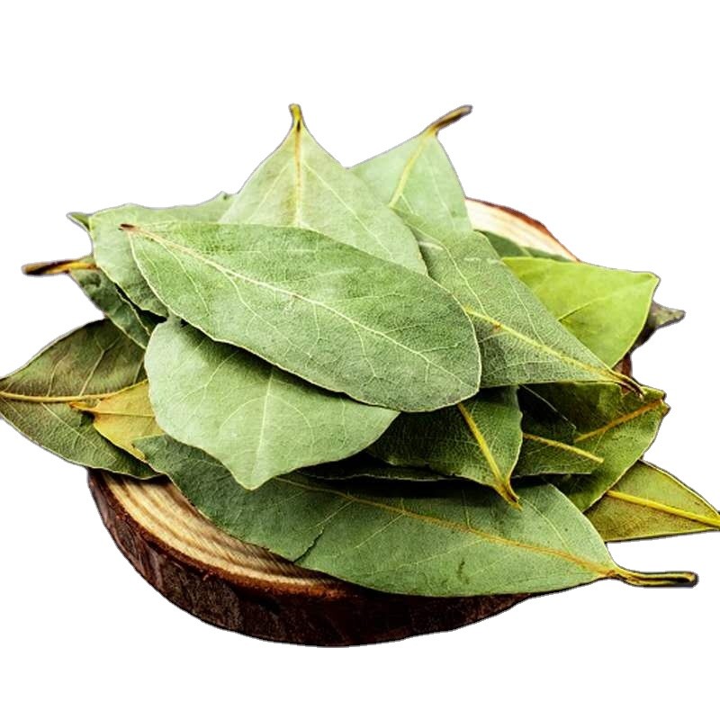 Laurel Leaves Factory Supply High Quality Wholesale Natural Spices Seasoning Dried Laurel Leaf Bay Leaf