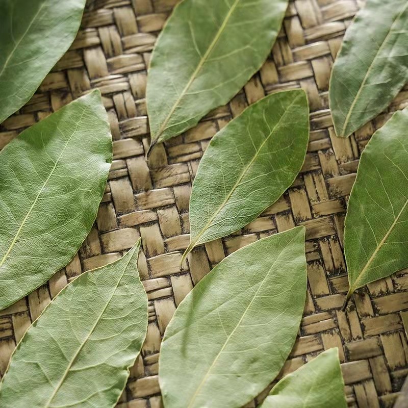 Laurel Leaves Factory Wholesale Food Grade Good Price Chinese Dried Bay Leaf