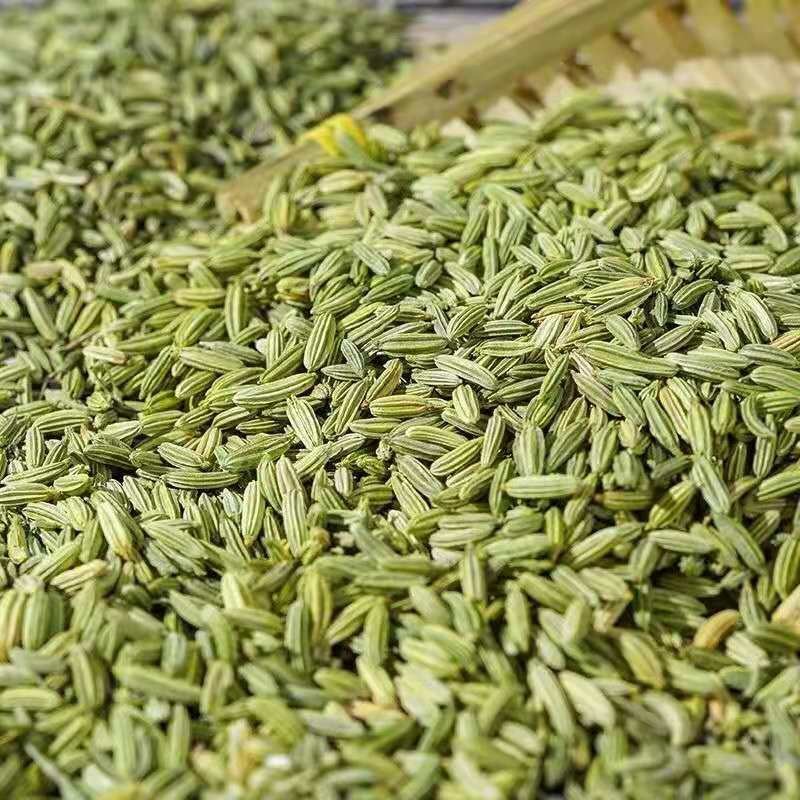 Huaran Wholesale Single Spices and Herbs  New Crop Low Price Seasoning 99% Fennel Seeds