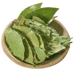 Laurel Leaves Factory Wholesale Food Grade Good Price Chinese Dried Bay Leaf