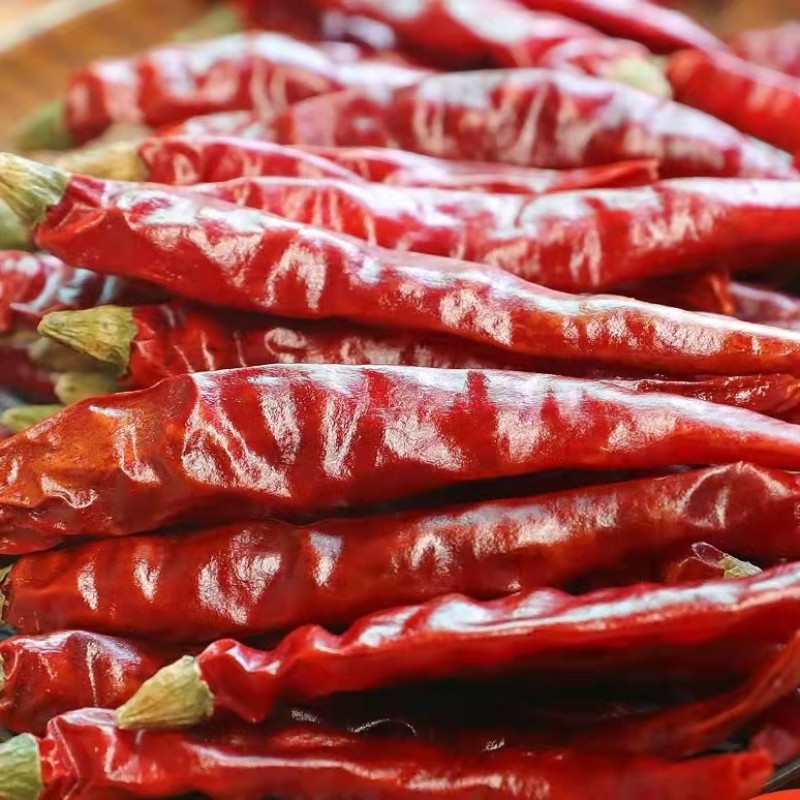 Factory Wholesale Chili Low Price in Bulk India S17 Dry Chilli Pepper