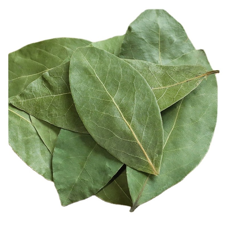Directly Sourced High Quality Bay Leaves Single Spices & Herbs Wholesale From China's Largest Marketplace