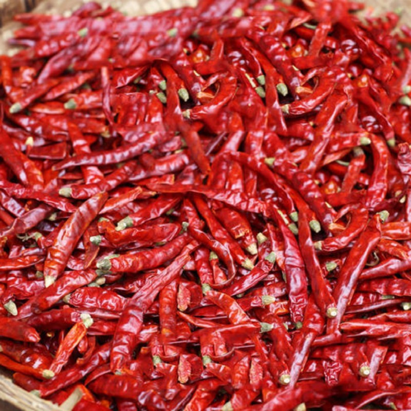 Factory Wholesale Customized Xiaomila Hot Chili Pepper with High Spicy