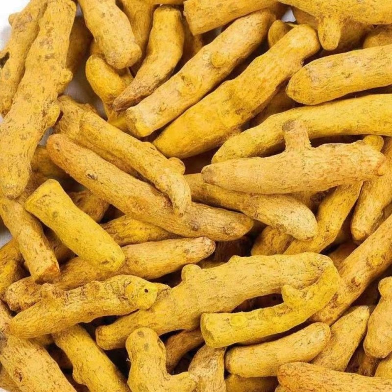 Premium Turmeric Spice Supplier Long-term Low Prices for Single Spices Food Grade Turmeric