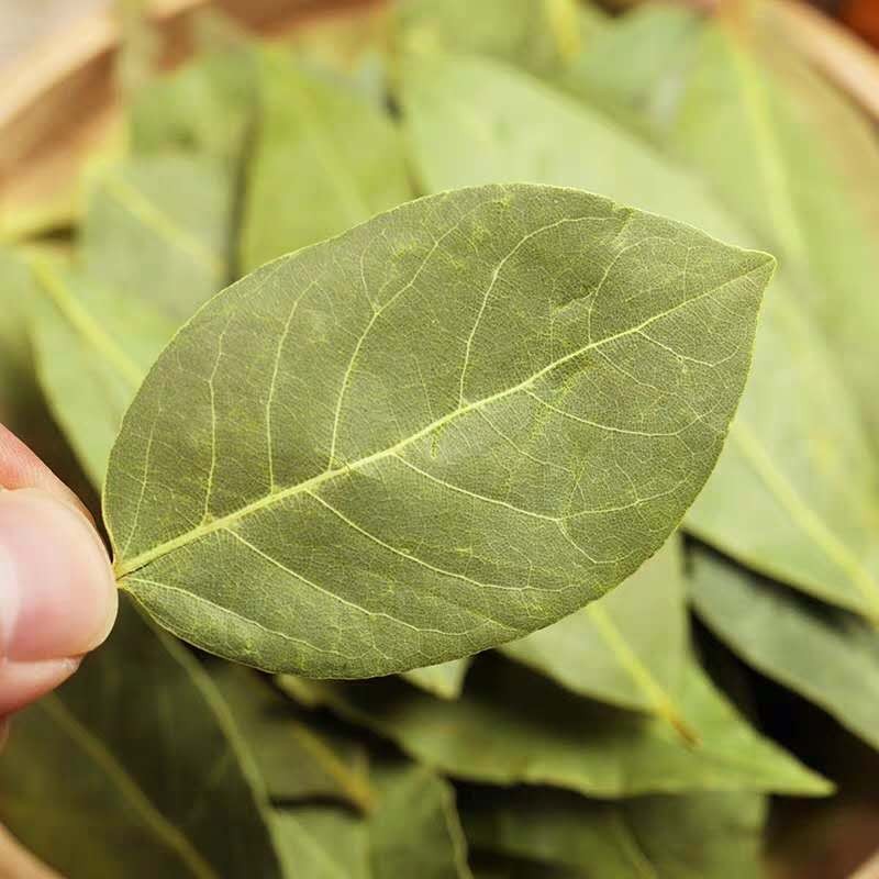 HUARAN Wholesale Condiment Seasoning Spices Bay Leaf High Quality  Low Price Dried Laurel Leaves Natural  Green  Bay Leaves