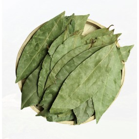 High Quality Wholesale Bay Leaves Factory Wholesale Supply  Natural Spices Dried  Laurel Leaf