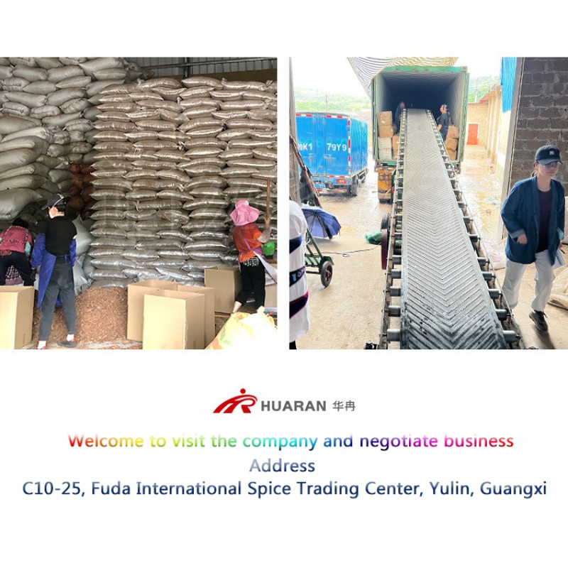 Hot Sale Factory Price Long Pepper  Dried Piper Longum Natural Organic Spices Long Pepper