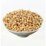 High Quality Coriander Seeds and Spices Wholesale Supply Single Herbs & Spices Product