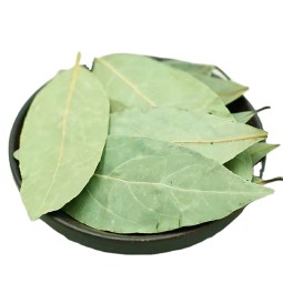 Factory Wholesale Spices Bay Leaves Production Dried Bay Leaf Georgia Laurel Leaves