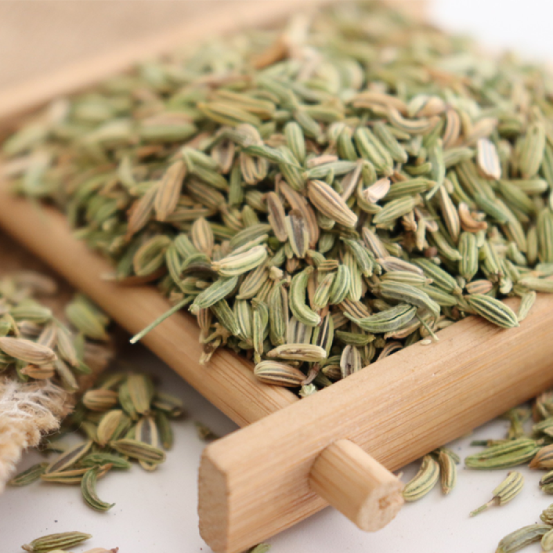 Organic Fennel Seeds Wholesale Spices 100% Natural High Quality Fennel Seeds Seasoning Spice