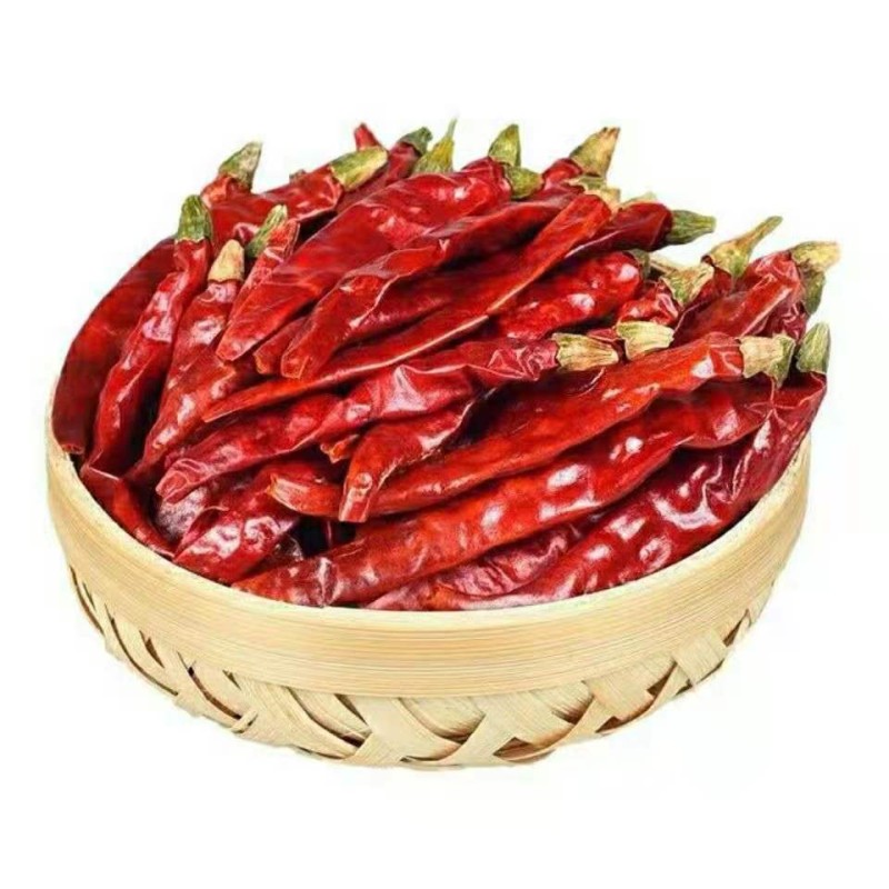 Factory Spice Supplier Wholesale Dried Red Chili Pepper Dried Chilies Dry Red Chilli Pepper