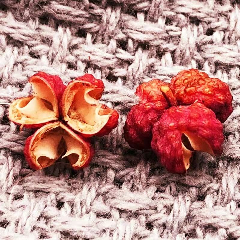 Wholesale Chinese Spices and Seasonings Delicious Single Spices  Red Pepper China Famous Sichuan Pepper