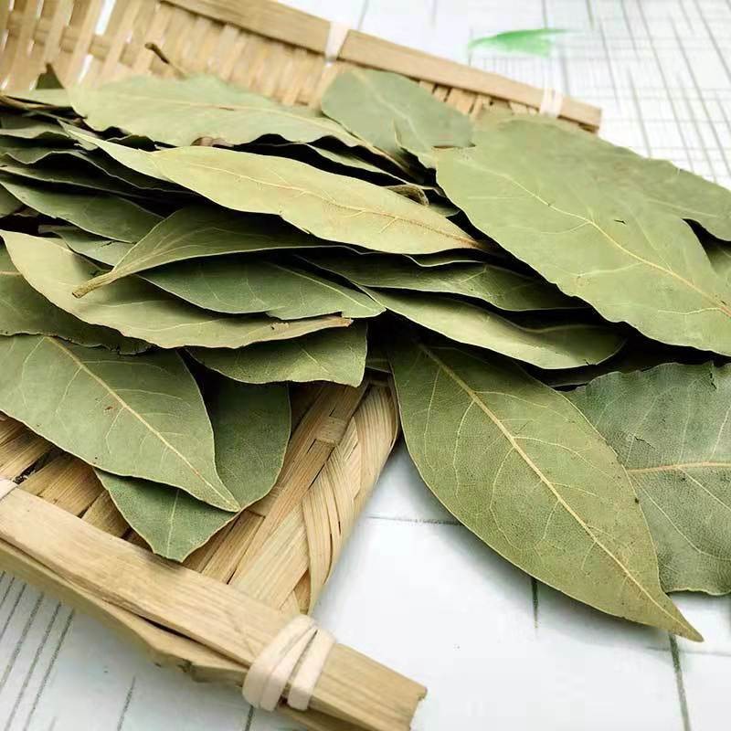 Natural New Dried Whole Laurel Leaf Wholesale Price for Spice Export Dried Laurel Leaves Bay Leaf