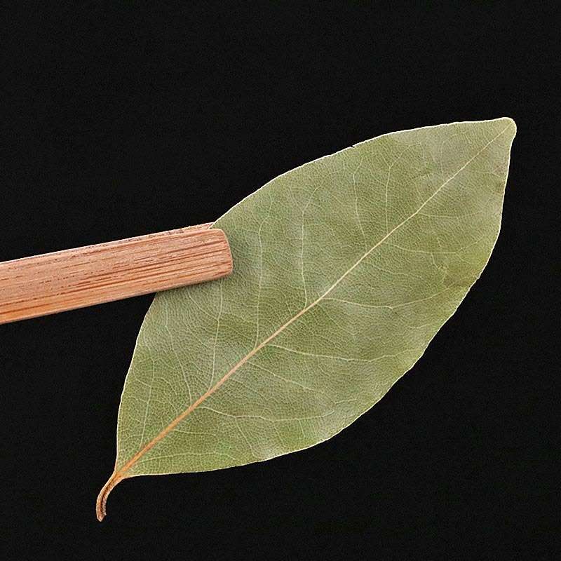 Natural New Dried Whole Laurel Leaf Wholesale Price for Spice Export Dried Laurel Leaves Bay Leaf