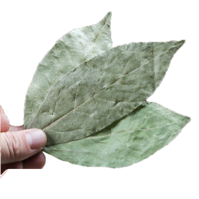 Huaran Yulin Guangxi China Wholesale Seasoning Combinations Spices Laurel Dried Chinese Bay Leaf for Cooking