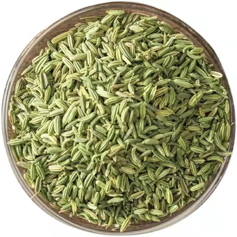Premium Fresh and Aromatic Fennel Seeds Direct Source Wholesale Single Spices