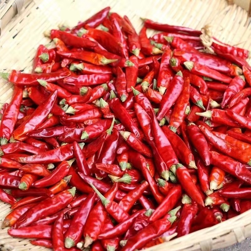 Factory Wholesale Customized Xiaomila Hot Chili Pepper with High Spicy