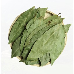 High-Quality Bulk Wholesale Bay Leaves Spices for Long-Term Supply