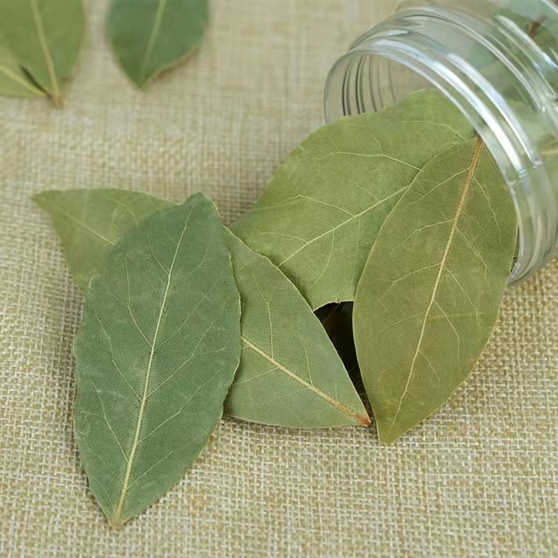 HUARAN Wholesale Single Spices and Herbs Bay Leaves High Quality  Laurel  Leaves Low Price Myrcia Natural  Bay Leaf