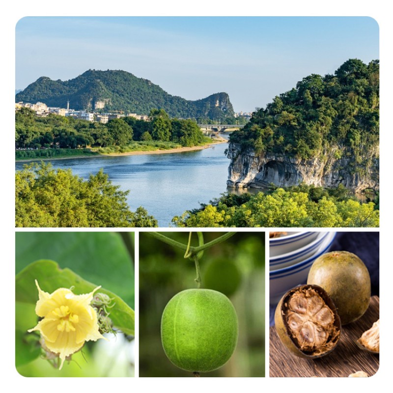 Premium Quality Fresh Delicious Organic Dried Herb Wholesale Monk Fruit Momordica Grosvenori