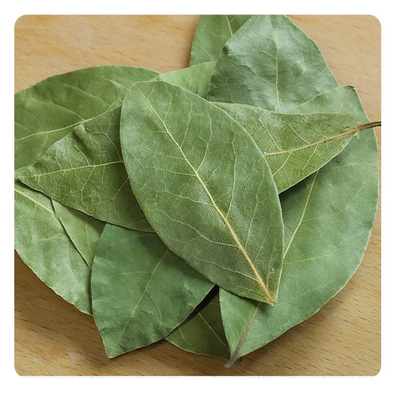 High-Quality Bulk Wholesale Bay Leaves Spices for Long-Term Supply