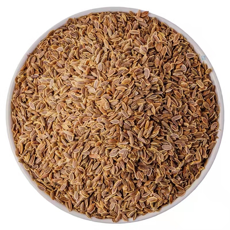 Huaran Factory Wholesale Cheap Price New Crop  Raw Single Spices Dill Seeds