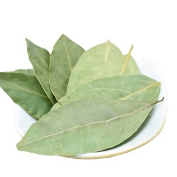 Factory Wholesale Customized Natural Spices Dried Laurel Leaf Dried Bay Leaf