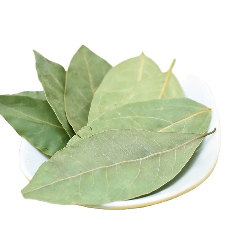 Factory Wholesale Customized Natural Spices Dried Laurel Leaf Dried Bay Leaf