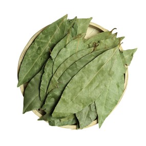 Huaran Yulin Guangxi China Imported Greenish Laurel Leaves Dried Bay Leaf for Cooking Food