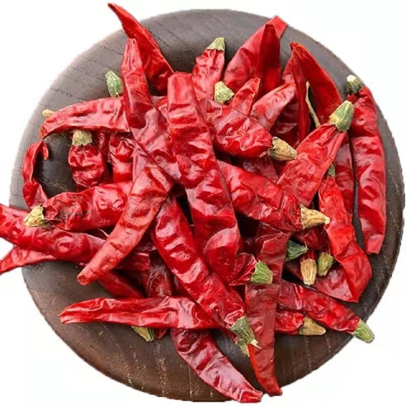 Factory Spice Supplier Wholesale Dried Red Chili Pepper Dried Chilies Dry Red Chilli Pepper