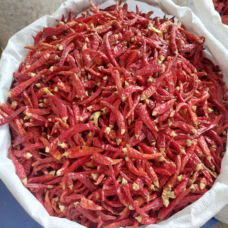 Huaran Wholesale Special Spice Indian S17 Cap Dried Red Chilli Pepper for Cooking and Hot Pot Seasoning