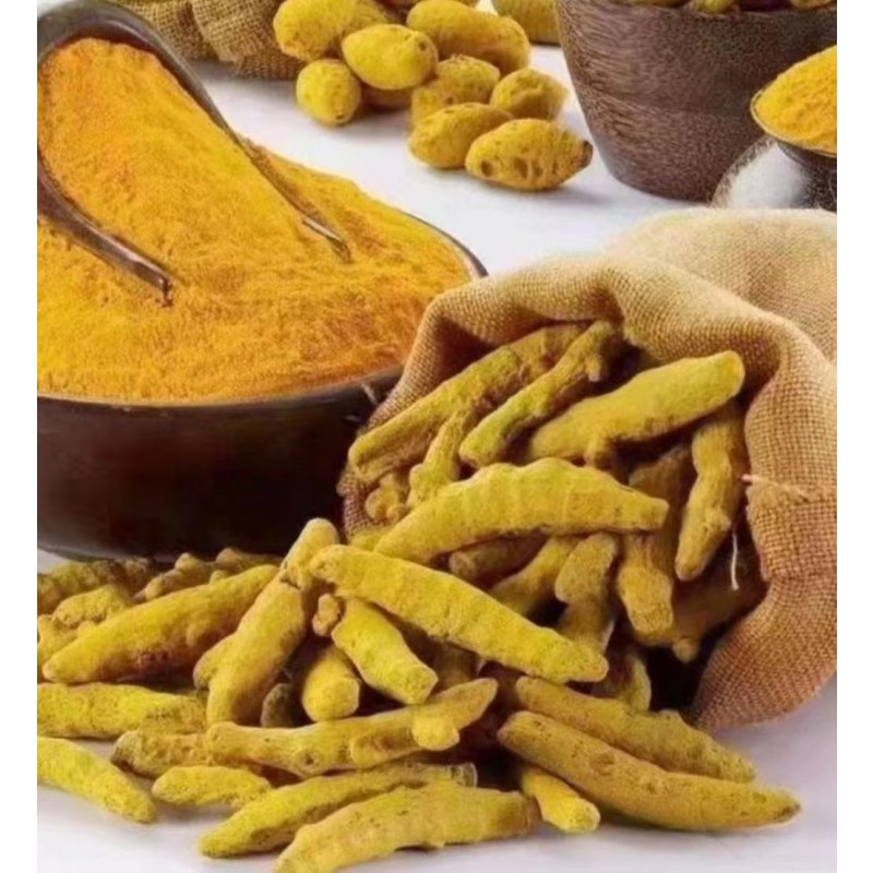 Turmeric  Wholesale Price Dry Ginger Sliced China High Quality New Crop Low Price Dried Ginger Slices