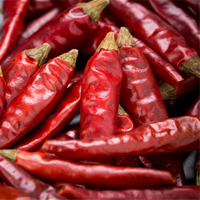 Factory Wholesale Customized Xiaomila Hot Chili Pepper with High Spicy