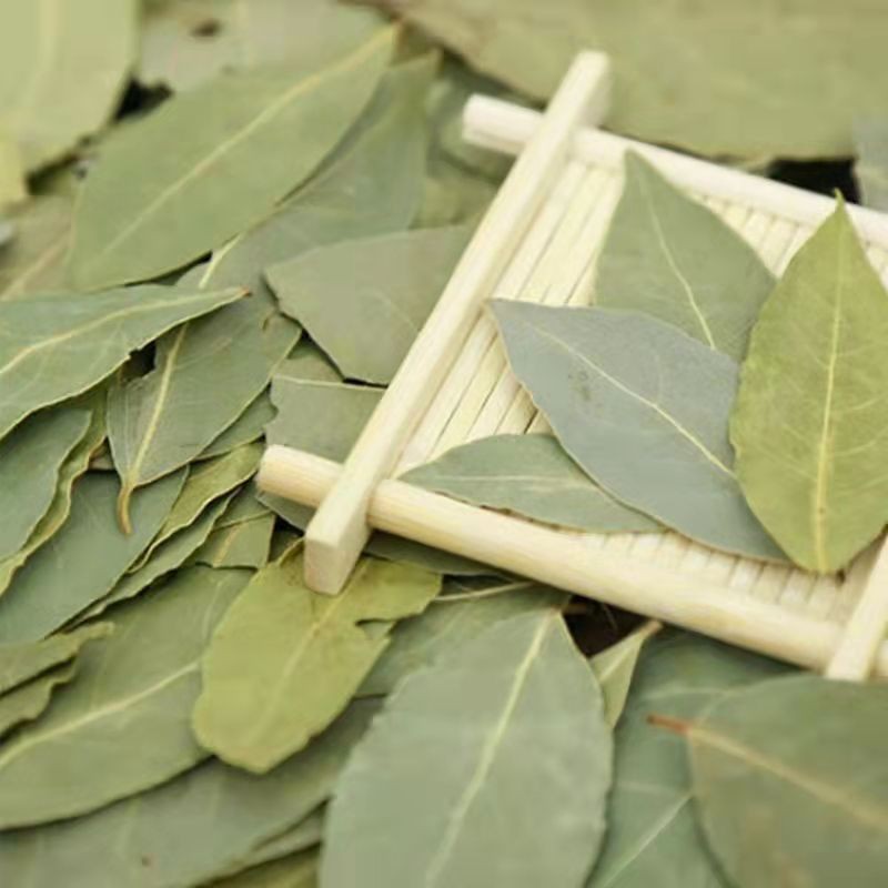 HUARAN Wholesale Single Spices and Herbs Bay Leaves High Quality  Laurel  Leaves Low Price Myrcia Natural  Bay Leaf