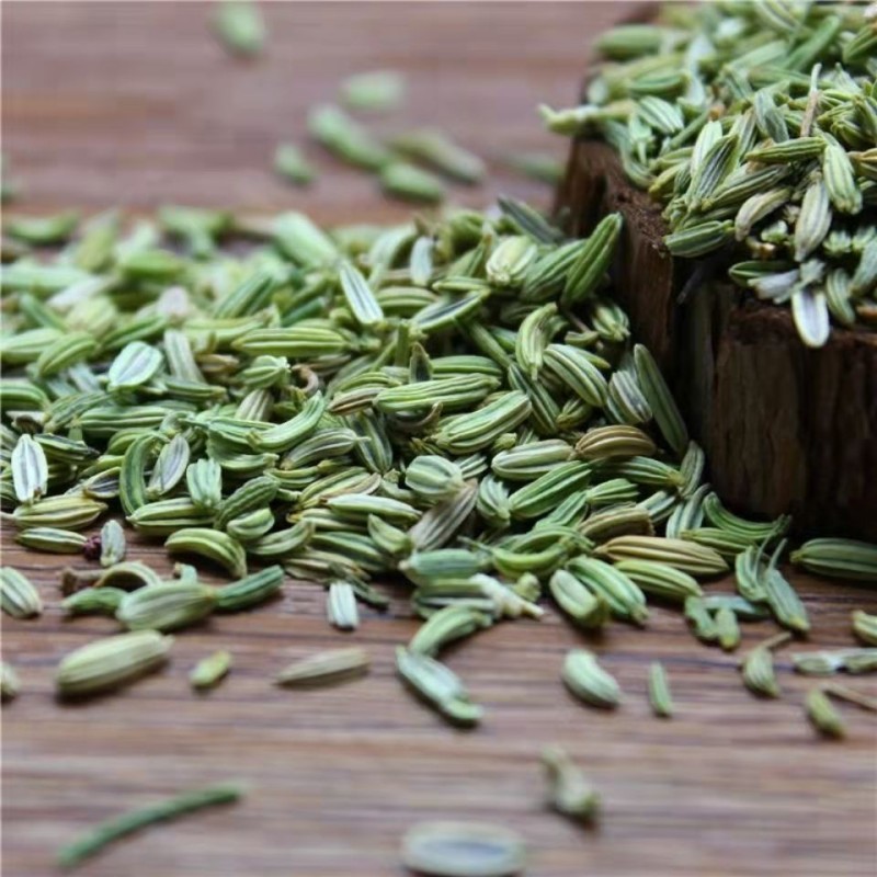 Factory Whole Spices Supplier Wholesale Price High Quality Green Fennel Seeds