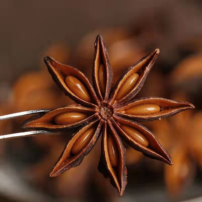Huaran Premium Quality Star Anise China Origin Wholesale Single Spices  for Cooking Latest Season Low Price