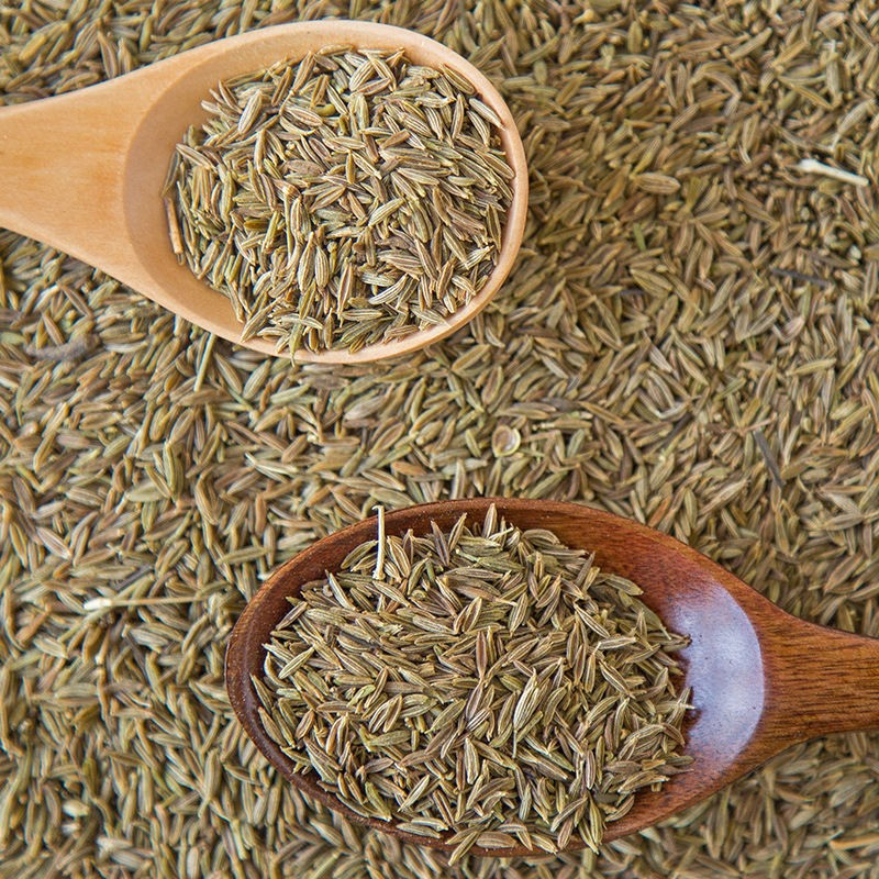 Wholesale New High Quality India Cumin Seeds